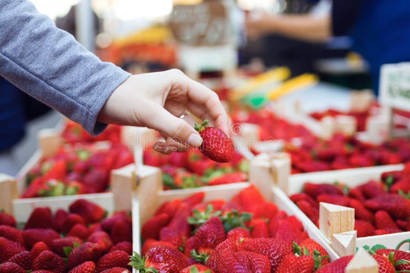 Woman picking a strawberry from the boxes of strawberries from the street market.