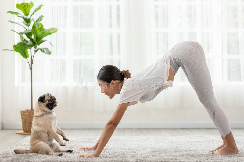 Sex Dog Missionary Pose With Young Girls