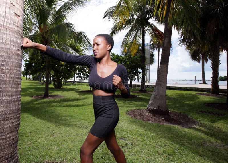 punching pad for tree