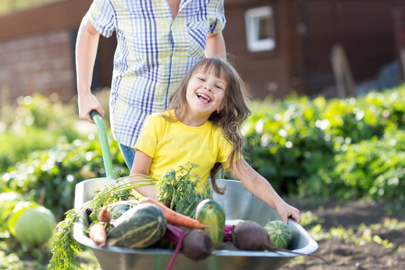 Woman Pushing Her Child Daughter In A Wheelbarrow Filled Vegetables In