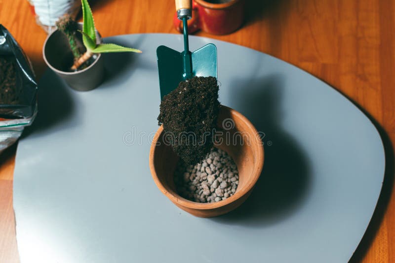 A Woman Putting Some Ground in a Pot with Pebbles Stock Image Image