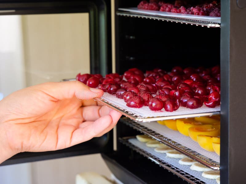 https://thumbs.dreamstime.com/b/woman-putting-tray-cherries-food-dehydrator-machine-close-up-225199437.jpg