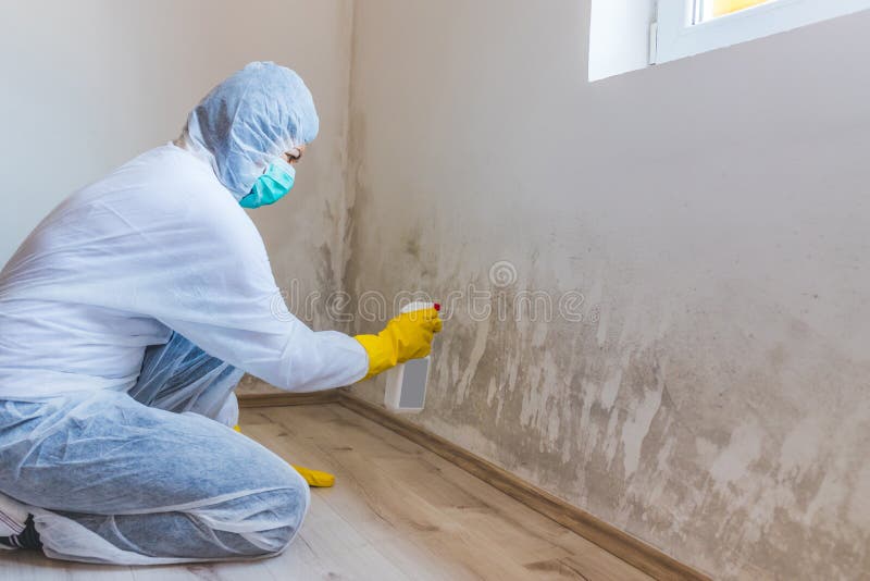 Mold remediation Greensboro NC