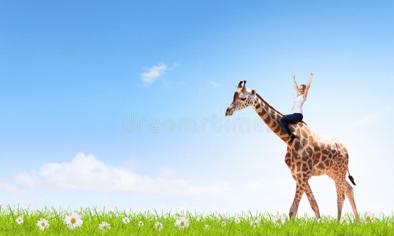 Woman ride giraffe stock photo. Image of tame, girl, rider - 56823962