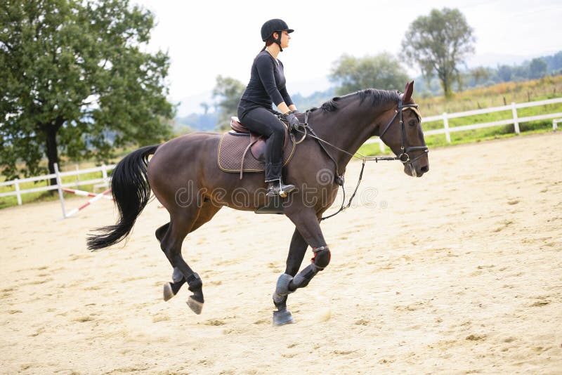 Girl on jumping horse stock image. Image of horse, adult 6330513