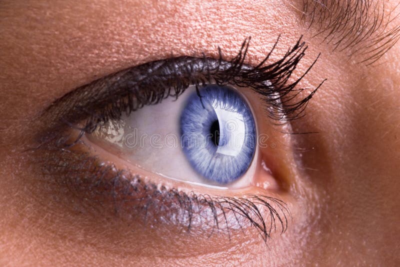 Woman s Blue Eye Closeup