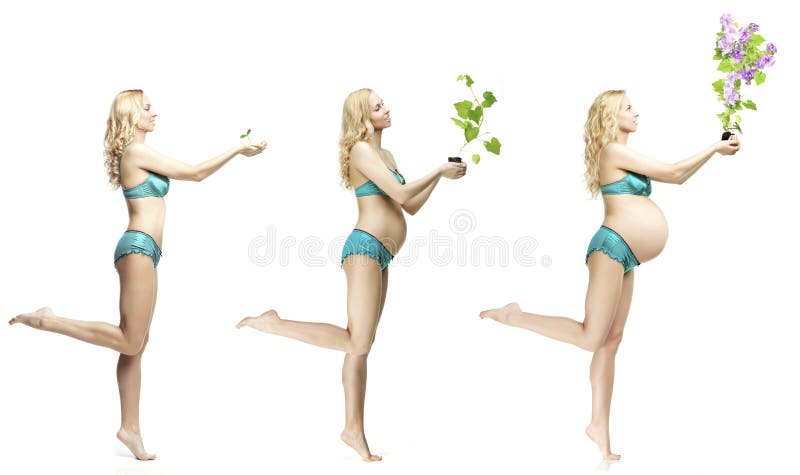 Woman`s body changes during pregnancy. The dynamics of the development of the baby.