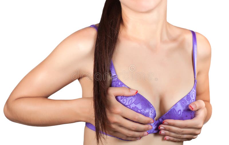 Woman s breasts in a lavender brassiere isolated