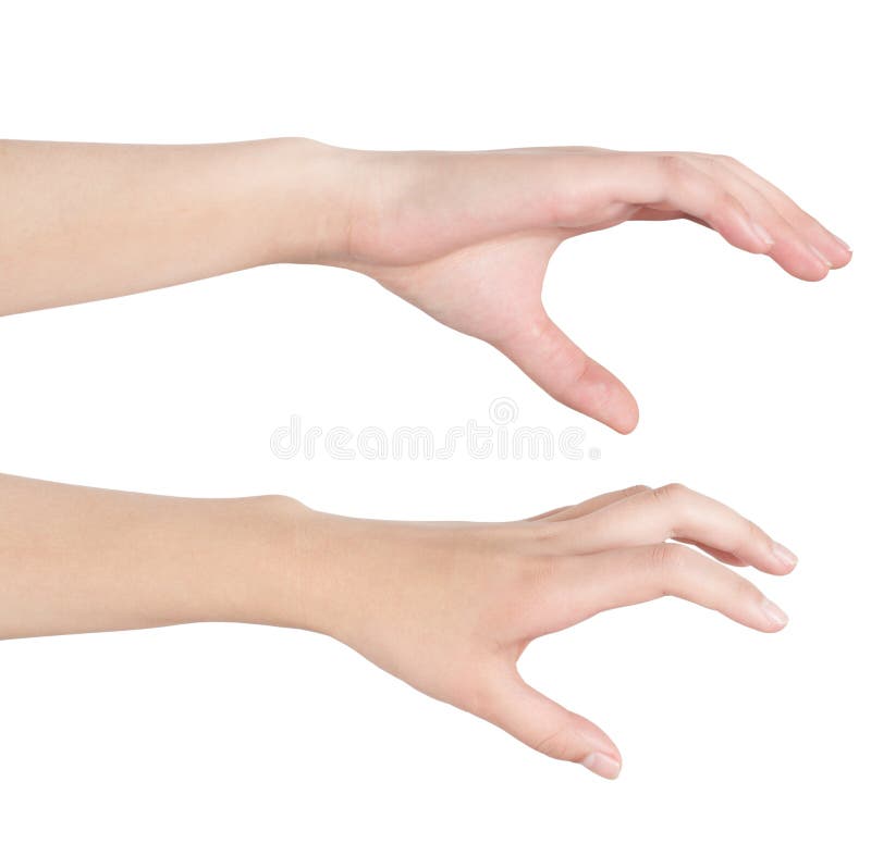 Download Woman's hand stock image. Image of gesture, showing, young - 29024137