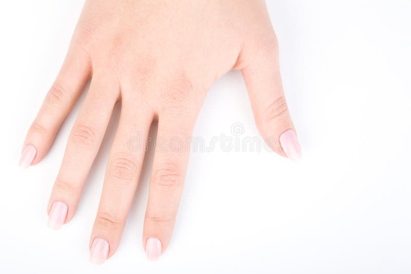 Woman's hand royalty free stock photography