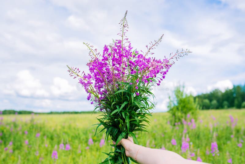 Woman`s hand holds a romantic bouquet of purple flowers. Summer colorful bouquet of flowers on a background of the sky with clouds and fields. Flowers as a gift.