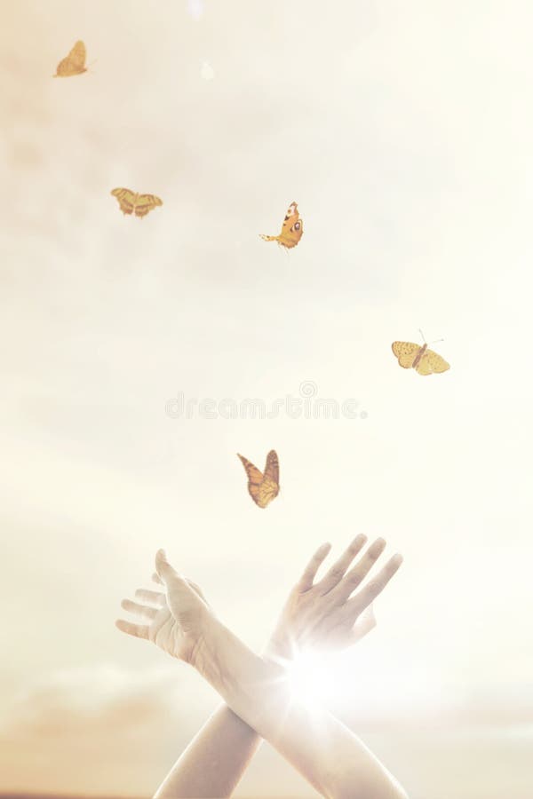 woman`s hands dance in harmony with some butterflies