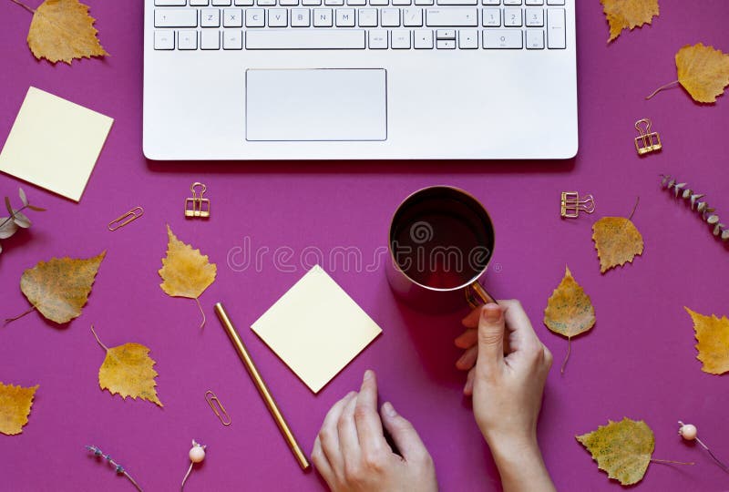 Woman`s hands are holding a cup of tea on the conceptual autumn background. Fall business flat lay composition with a keyboard. royalty free stock photos Woman`s hands are holding a cup of tea on the conceptual autumn background. Fall business flat lay composition with a keyboard. royalty free stock photos