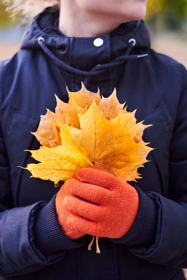 Glove Hand Holding Orange Maple Leaf Colorful Forest Blurred Background ...