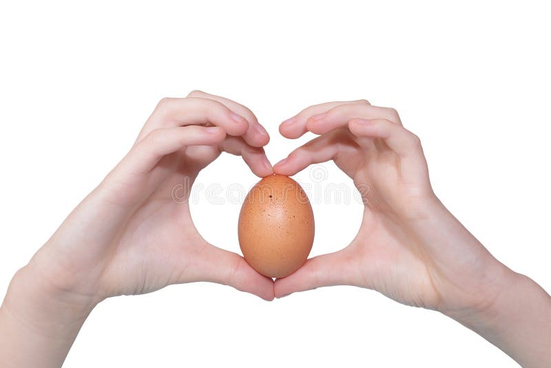 Womans hands placed in a heart shape with a organic farm egg, isolated on white background. Chicken`s egg from ecologically stock photos Womans hands placed in a heart shape with a organic farm egg, isolated on white background. Chicken`s egg from ecologically stock photos