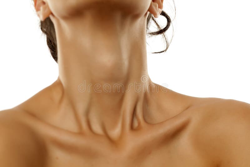 Straight Neck Normal Neck Women: ilustrações stock 2135294167