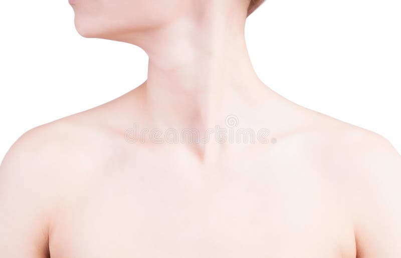 Woman s neck and shoulders