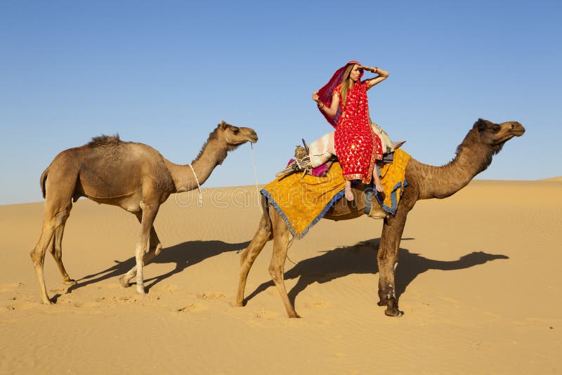 Woman in a sari riding a camel train.