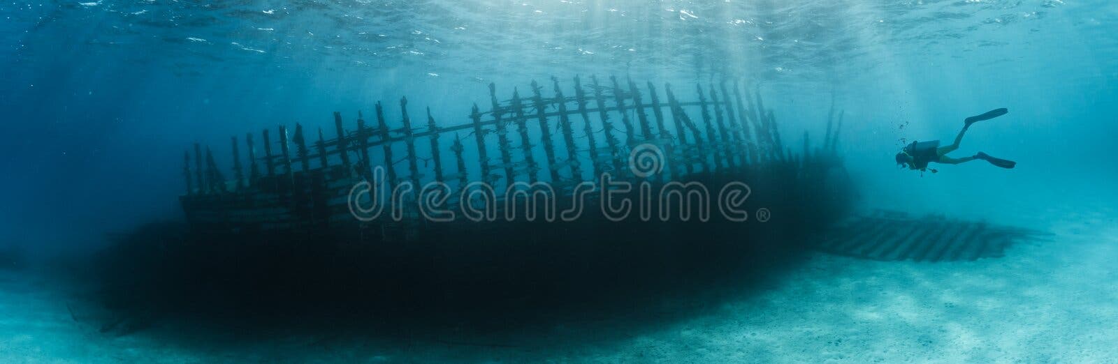 195,237 Scuba Stock Photos - Free & Royalty-Free Stock Photos from ...