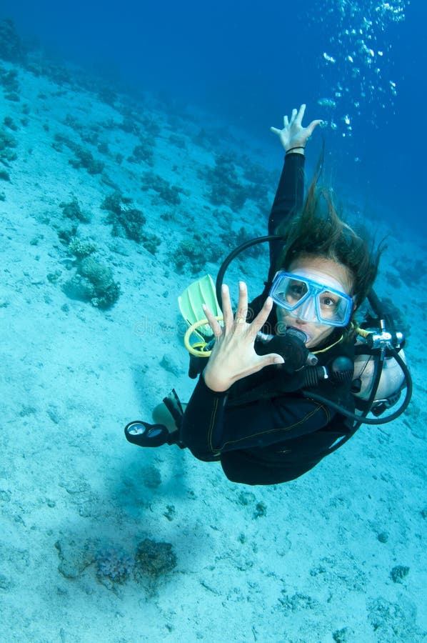 Woman Shows Off Her Wedding Ring On A Dive Stock Photo Image 24555920