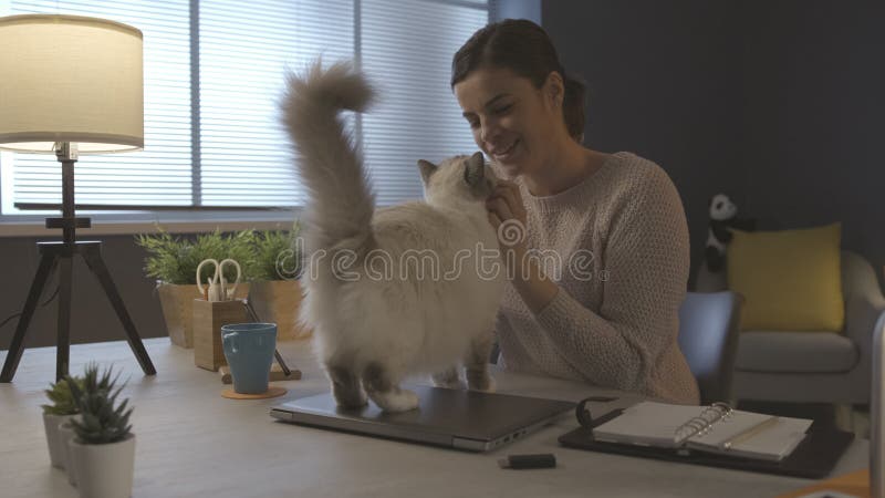 Woman sitting at desk and cuddling her cat stock image