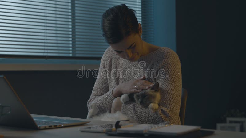 Woman sitting at desk and cuddling her cat royalty free stock image