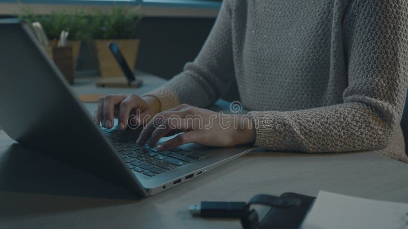 Woman working with her laptop royalty free stock images