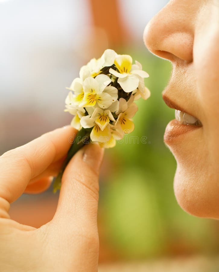 Woman smelling the flowers stock photo
