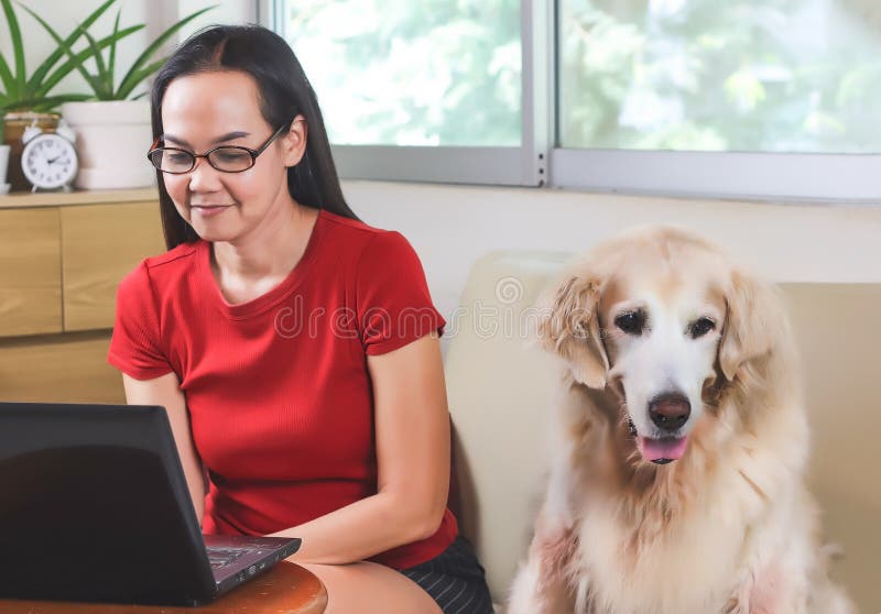 Asian woman smiling and looking at computer screen , sitting on couch in living room with computer in front of her and golden retriever dog lying on couch beside her.work from home concept