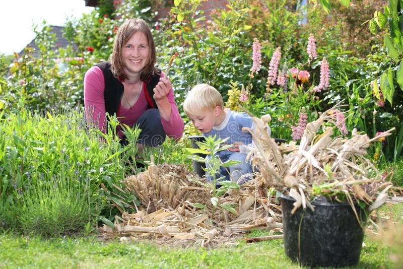 Woman and son work in the garden stock images Woman and son work in the garden stock images
