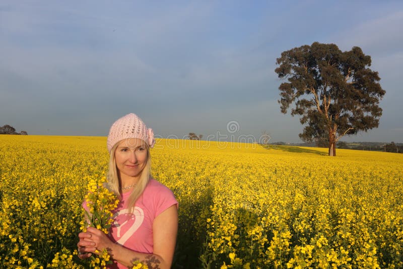 Woman standing in a field of golden canola farm royalty free stock images Woman standing in a field of golden canola farm royalty free stock images