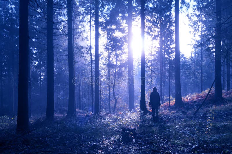 Magic light in the forest with woman