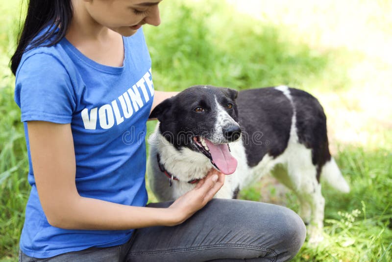 Woman stroking homeless dog. Concept of volunteering