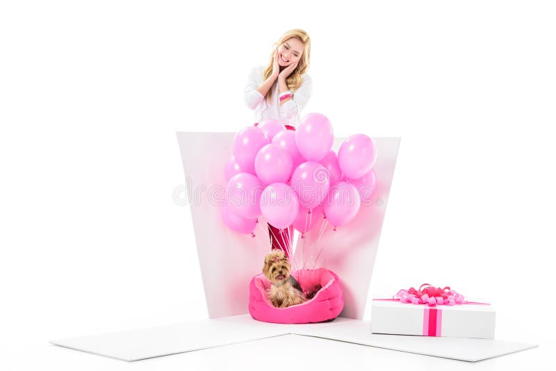 Woman surprised by Yorkshire terrier in gift box stock image Woman surprised by Yorkshire terrier in gift box stock image