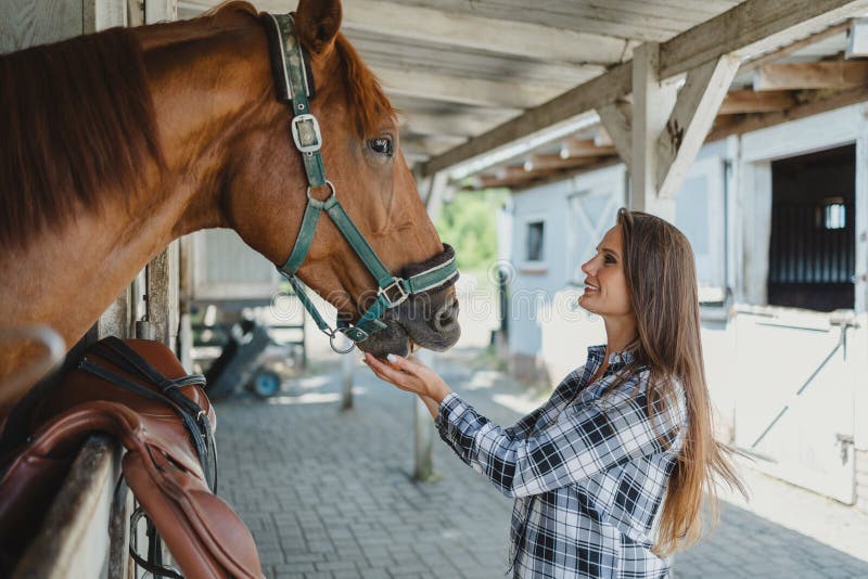 Woman Taking Care of Her Horse in Stable Stock Image Image of care