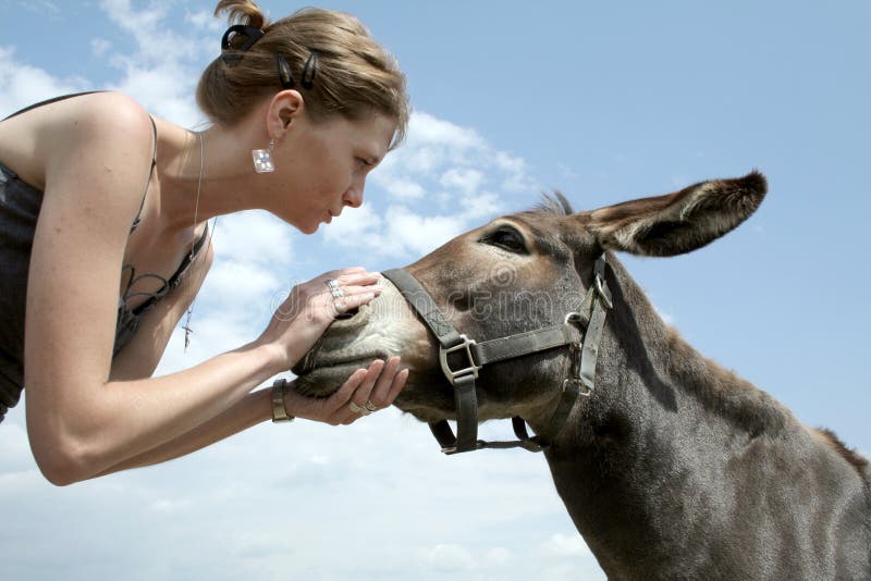 Woman talking to donkey royalty free stock images.