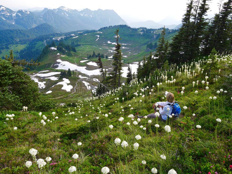 Woman tourist sitting among wild flowers with mountain view. royalty free stock images Woman tourist sitting among wild flowers with mountain view. royalty free stock images