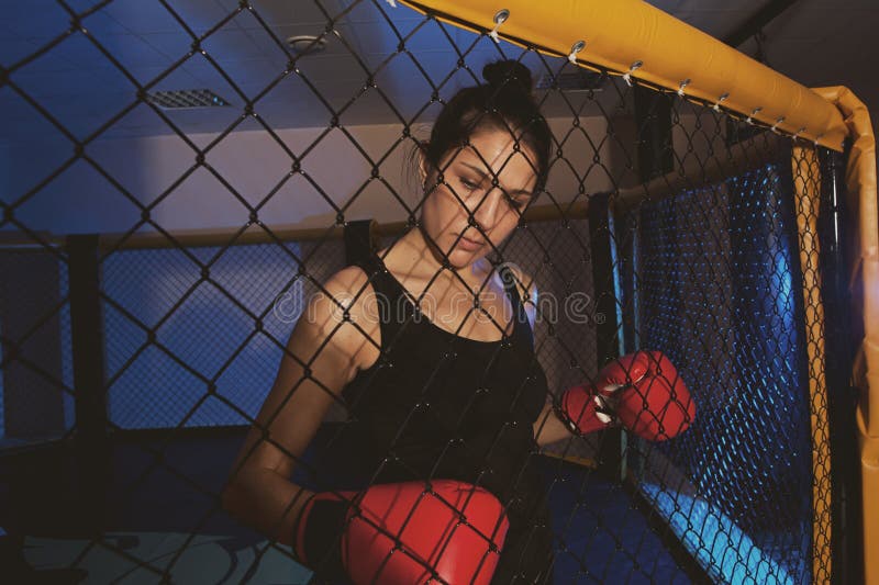 Woman Training Gym Boxing Mma Ring Stock Photo Image of confidence
