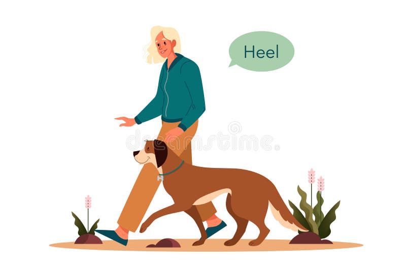 Click-2-Heel - Why teach the Safety Position? The safety position (often  called middle) is where puppy or dog stands between your legs. It has  multiple uses and is great for building confidence.