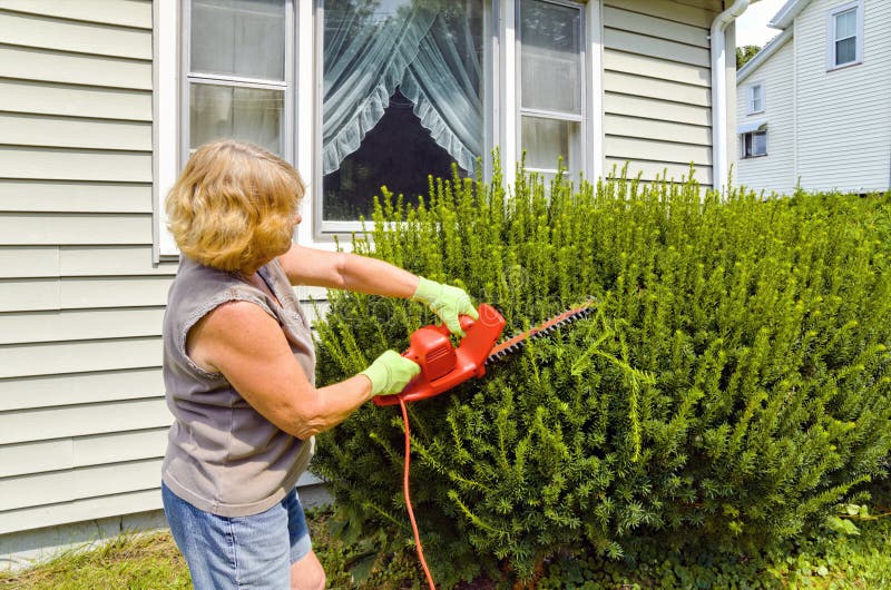 Woman Using Electric Clippers to Trim Bushes. Woman Using Electric Clippers to Trim Bushes