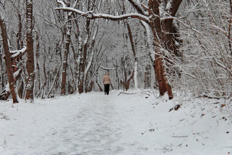 Woman walking alone in the winter park outdoor