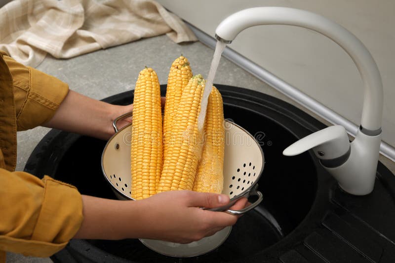 Woman Washing Corn Cobs in Sink, Closeup Stock Photo Image of indoors