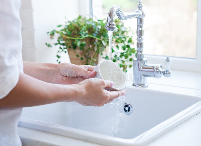 Woman washing dish in sink stock image. Image of human 43558571