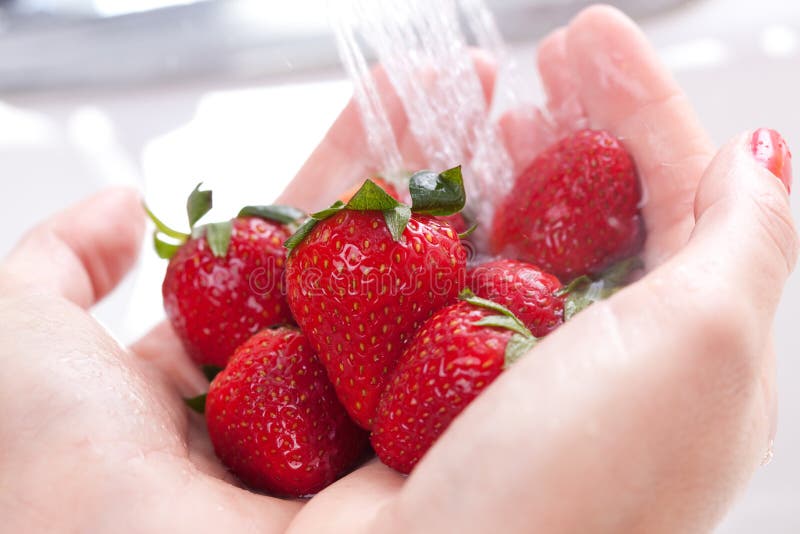 Woman Washing Strawberries