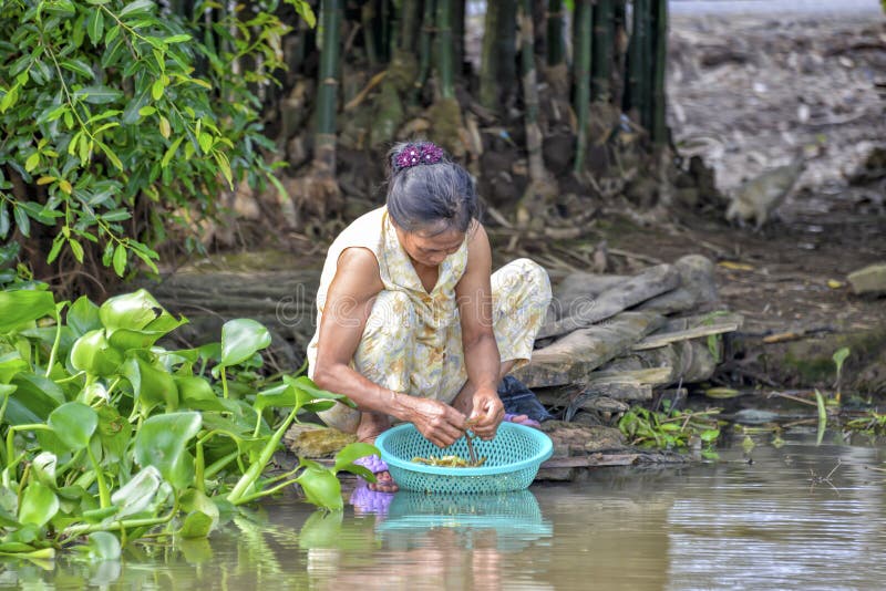 Woman washing vegetables in Mekong river stock photo Woman washing vegetables in Mekong river stock photo
