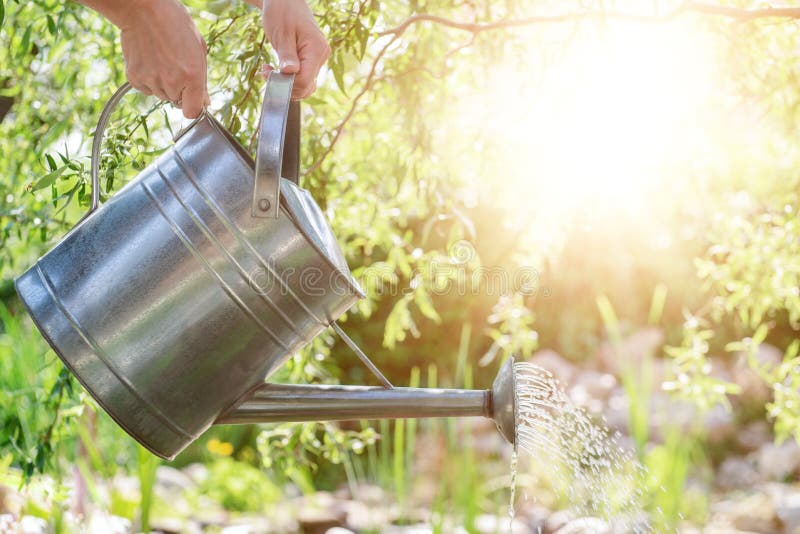 Woman watering flower bed using watering can. Gardening hobby concept. Flower garden.