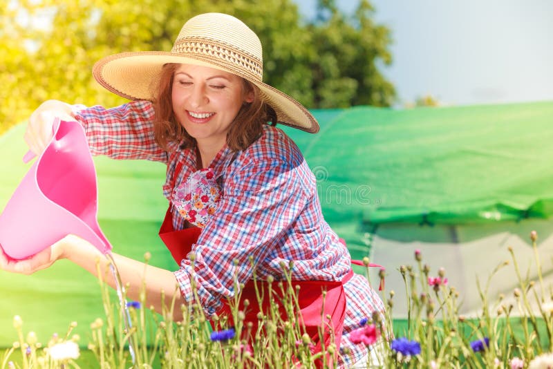 Woman watering flowers in garden stock image Woman watering flowers in garden stock image