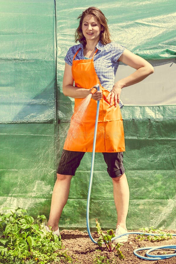 Woman Watering the Garden with Hose Stock Photo - Image of summer ...