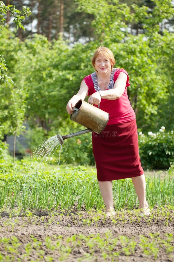 Woman Watering Plant at Garden Stock Photo - Image of spray, gardening ...