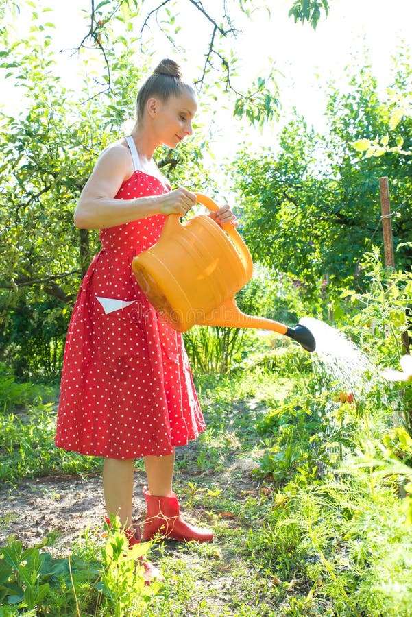 Woman watering the plants stock photo. Image of horticulture - 77914080